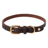 Collier pour chien Robin - Moyen