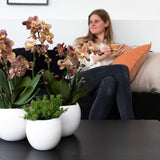 Pot de fleur décoratif en céramique blanche