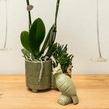 Objet décoratif cacatoès vert