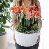 Bol à miel avec bouquet d'orchidées orange et plantes vertes