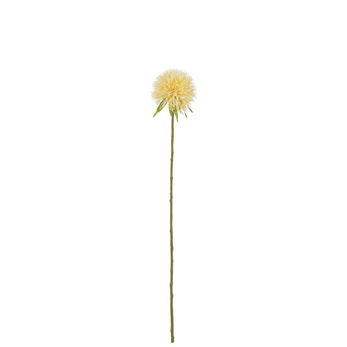 J-Line Flower Allium en plastique jaune clair, décoration élégante pour intérieur