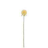 J-Line Flower Allium en plastique jaune clair, décoration élégante pour intérieur
