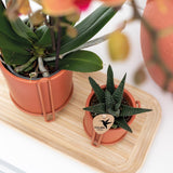 Maison Colibri | Plateau ovale en bambou