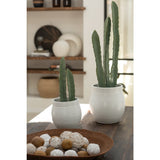 Cactus J-Line en pot vert, vue de face avec détails des épines