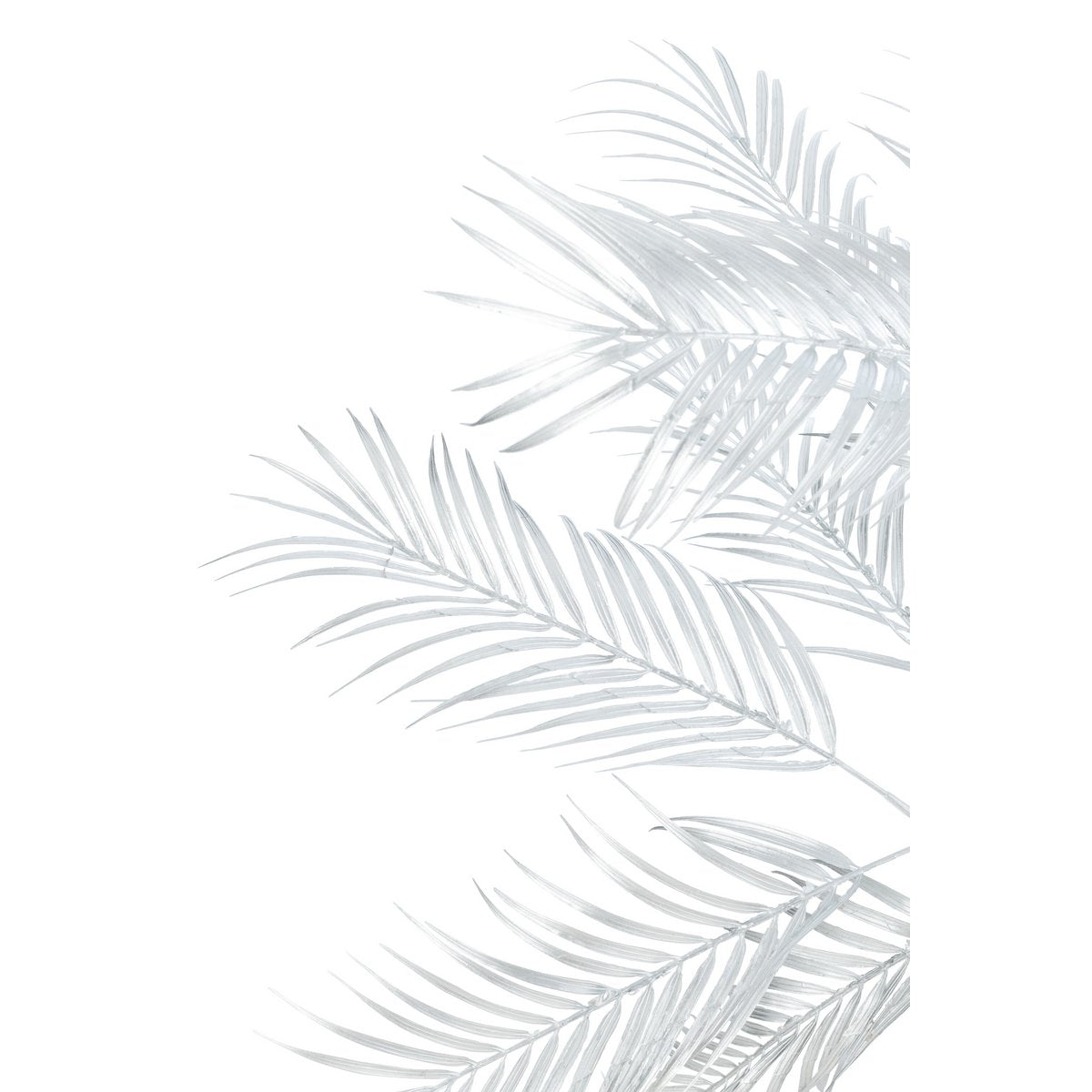 J-Line Boom Palm, décoratif dans un salon moderne