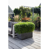 Fargesia 'Moontears'® en pot - ambiance jardin