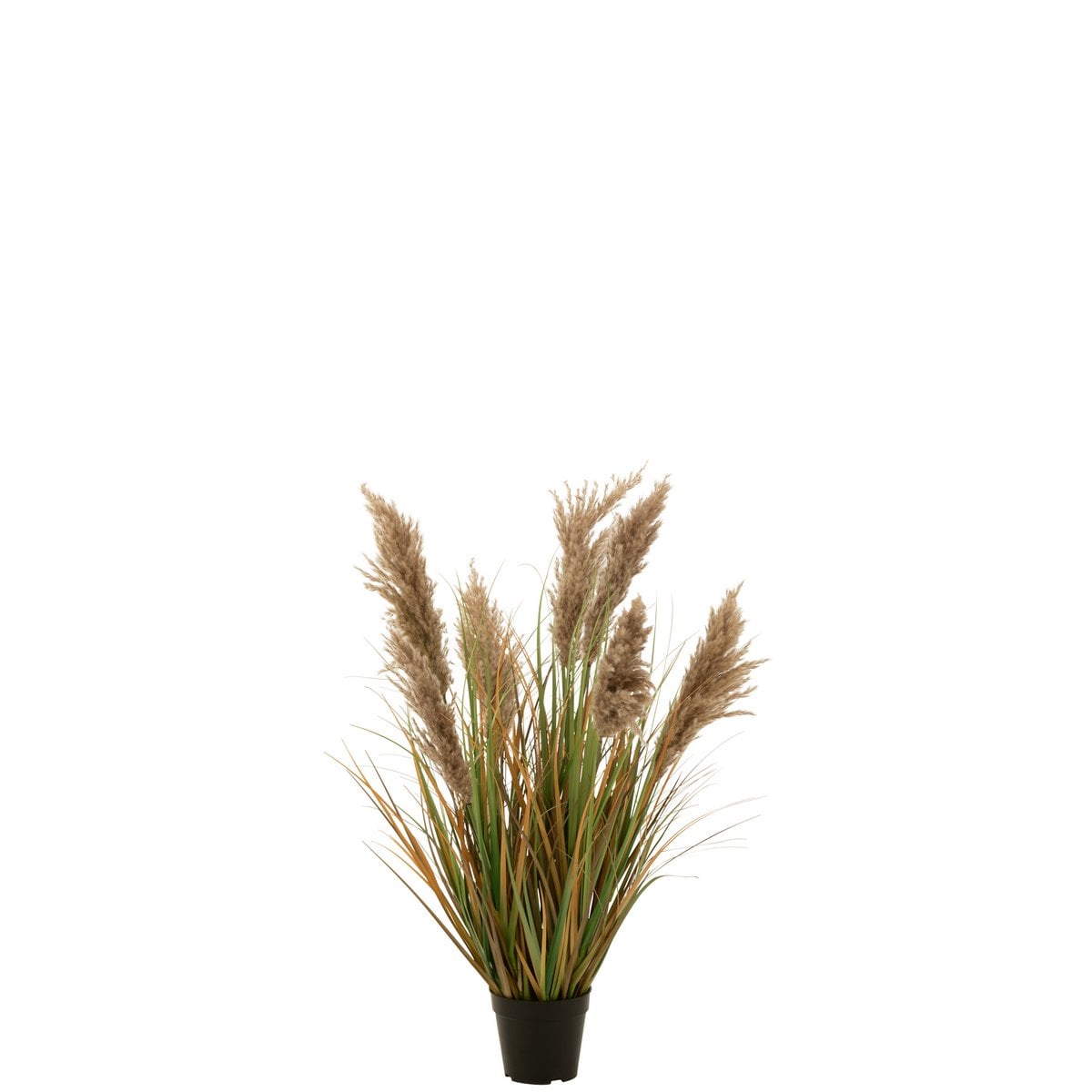 Herbe de pampa J-Line 7 têtes en pot, décoration verte et beige luxueuse