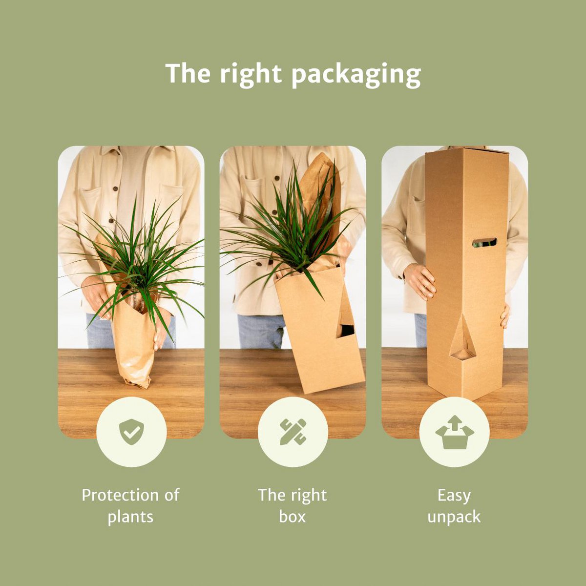 Image de diapositive