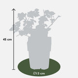 Plante artificielle Rubus Mix résine 45 cm Ø13 cm