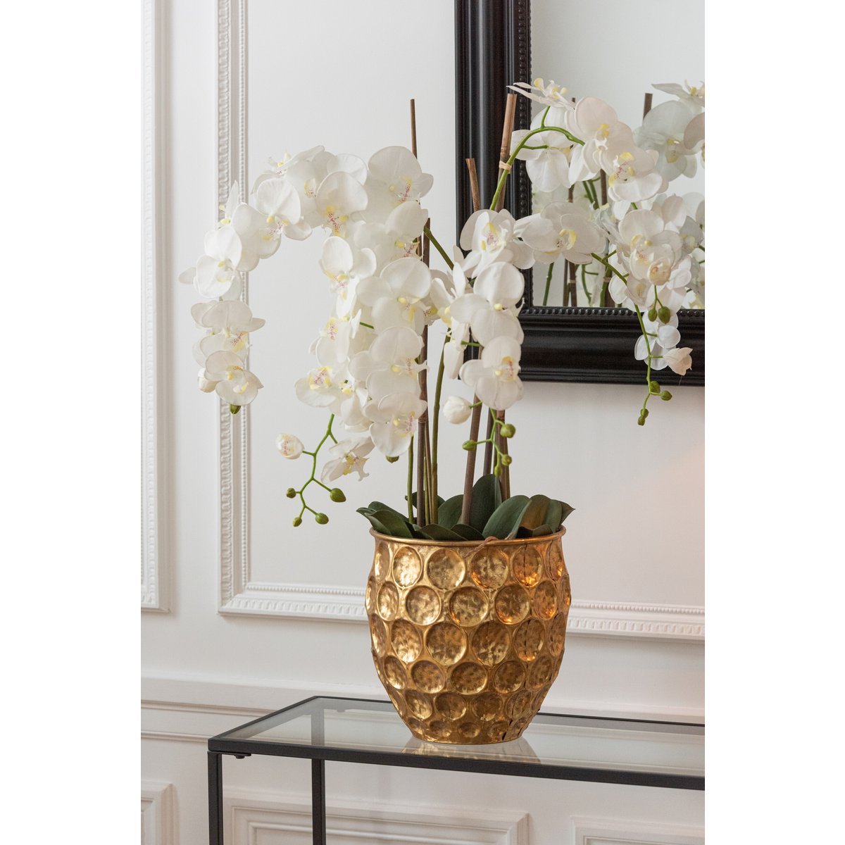 Détail des feuilles vertes de l'Orchidée J-Line