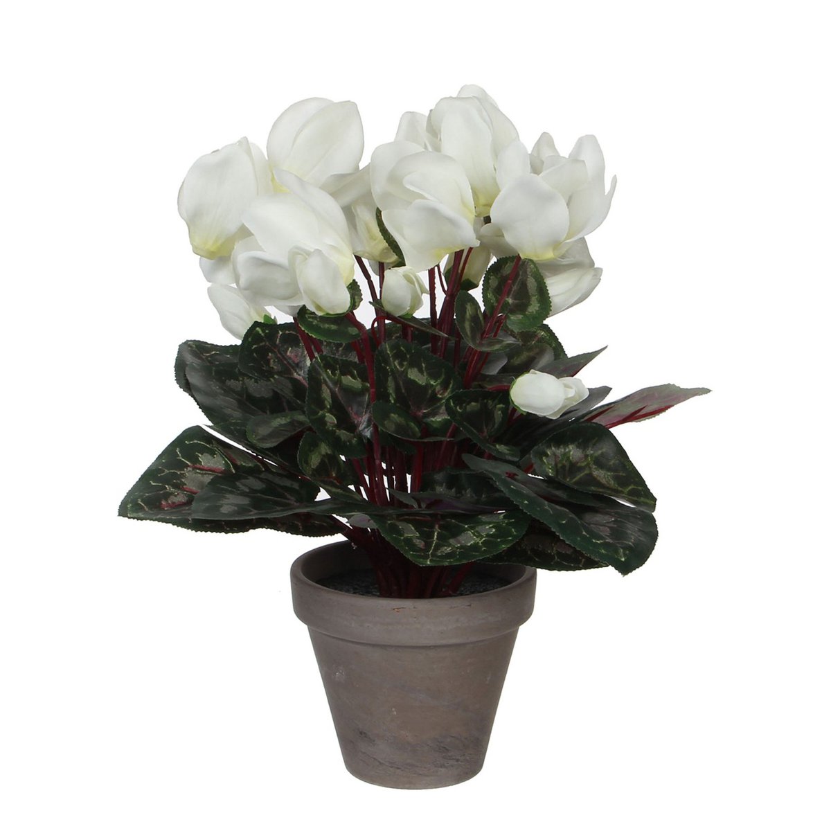 Plante artificielle Cyclamen Blanc avec fleurs blanches et feuilles détaillées