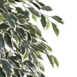 Plante artificielle Ficus Vert