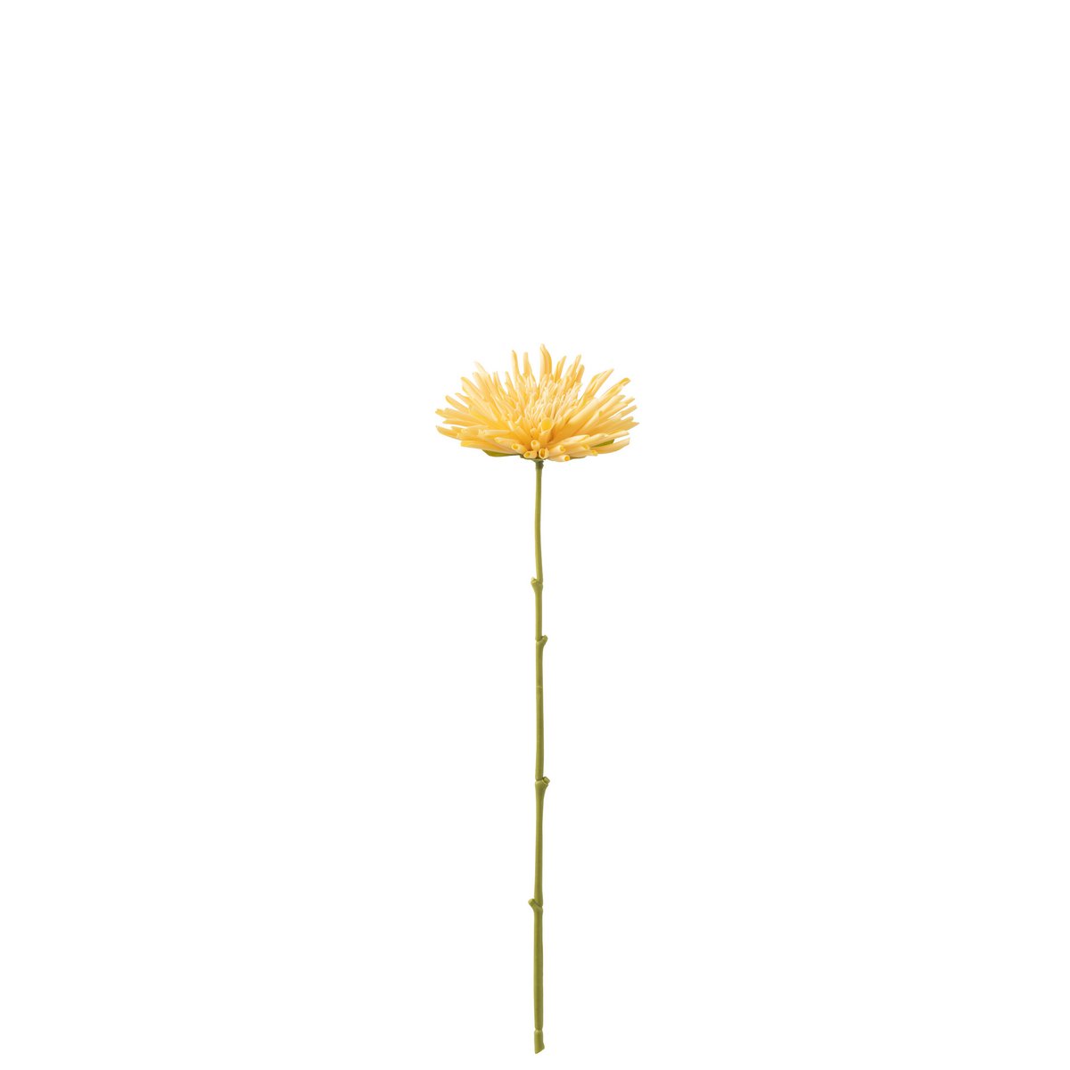 Chrysanthème Mini J-Line en plastique jaune clair, détail des feuilles