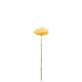 Chrysanthème Mini J-Line en plastique jaune clair, détail des feuilles