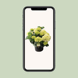 Plante artificielle hortensia blanche Ø23 cm