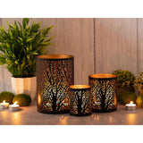 Windlich 3 Set Masterbox 12x 3-Parties Stand Stand Forest Tea Halder Around Black Gold