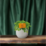 Plante artificielle Pilea en pot 10,5 cm vert et argenté