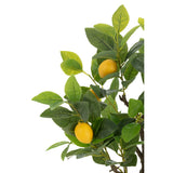 Citronnier artificiel vert petit sur fond blanc, détail des feuilles