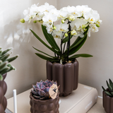 Cache-pot rétro en céramique marron Ø9 cm