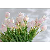 Vue d'ensemble du bouquet de tulipes J-Line dans un intérieur élégant