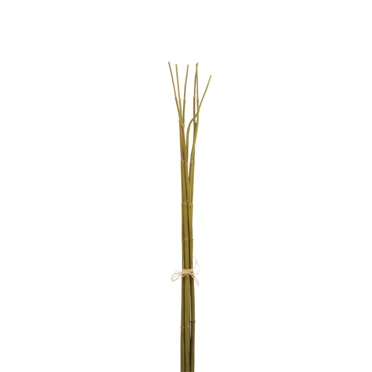 Bouquet Bambou Vert S J-Line, décoration élégante et naturelle