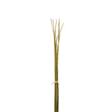 Bouquet Bambou Vert S J-Line, décoration élégante et naturelle