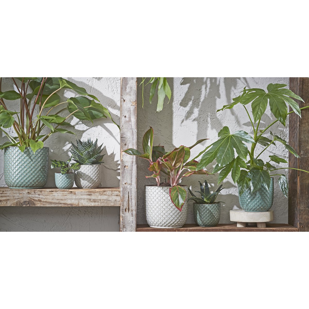 Collection de pots Daan Wit, mise en scène décorative