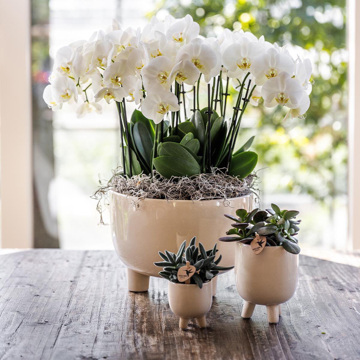 Maison Colibri | Pot à gomme travertin - Ø9cm
