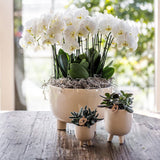 Maison Colibri | Pot à gomme travertin - Ø9cm