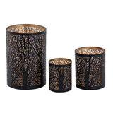 Windlich 3 Set Masterbox 12x 3-Parties Stand Stand Forest Tea Halder Around Black Gold
