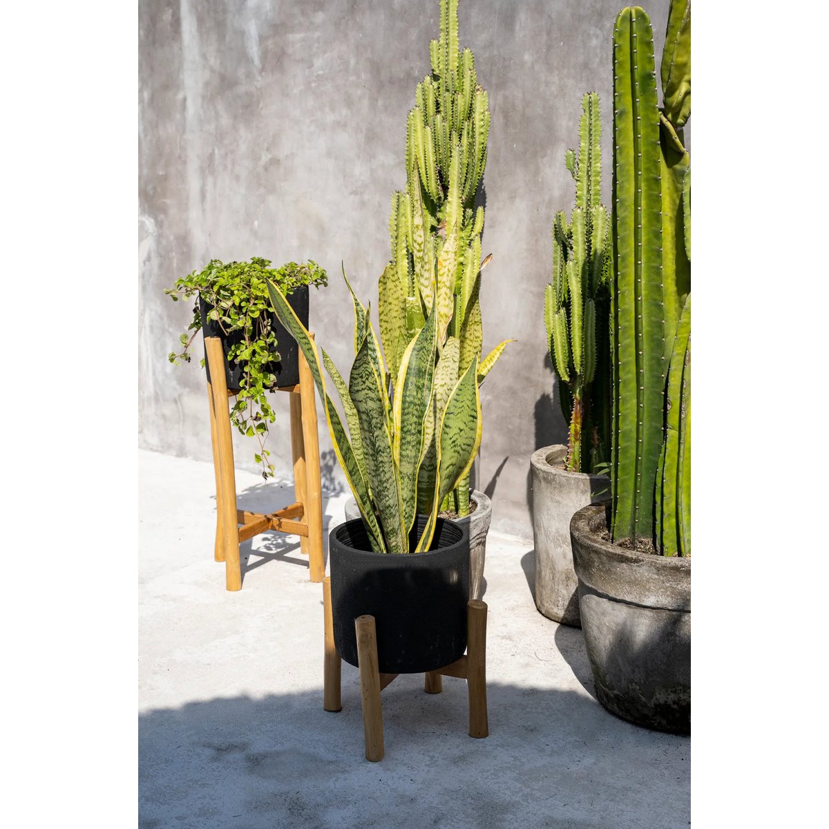 Jardinière Charcoal Low avec plantes sèches