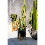 Jardinière Charcoal Low avec plantes sèches