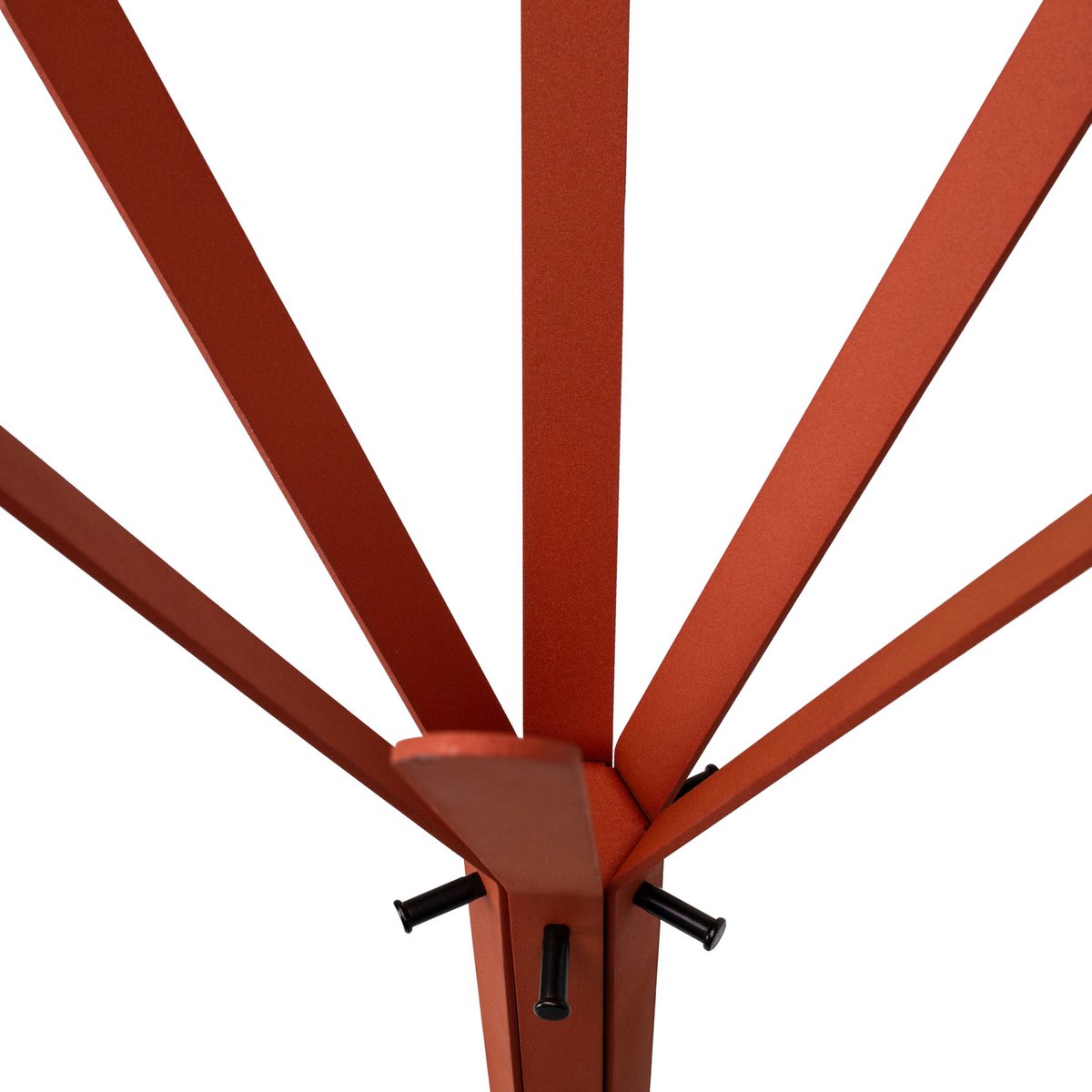 Image de diapositive