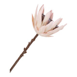 Vue rapprochée des pétales réalistes du bouquet King Protea