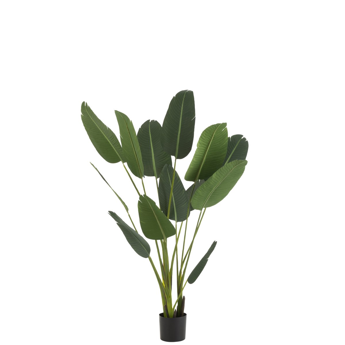 Vue latérale de la Strelitzia verte artificielle J-Line, montrant sa hauteur