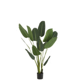 Vue latérale de la Strelitzia verte artificielle J-Line, montrant sa hauteur