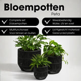 Pot de fleurs extérieur Peta Noir