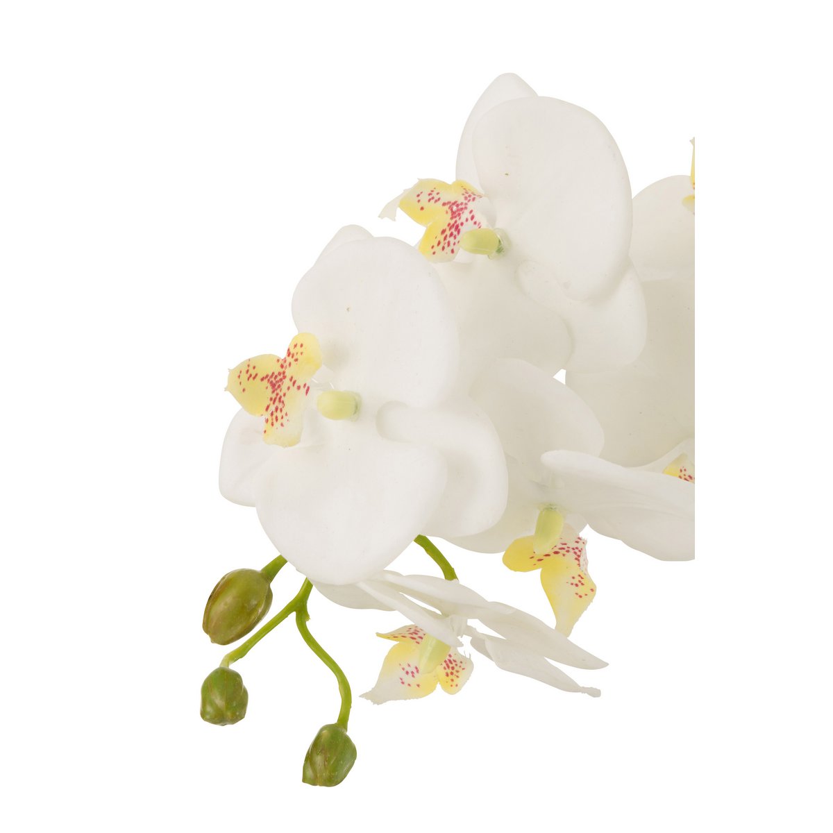 Orchidée artificielle J-Line en plastique blanc et vert, vue de face