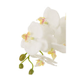 Orchidée artificielle J-Line en plastique blanc et vert, vue de face