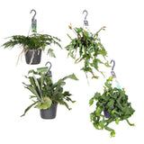 Bijoux Verts à Suspendre - 4 pièces - Ø17cm - ↕20-40cm