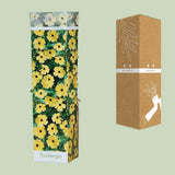 Tool Thunbergia Lemon Star - Ø10,5 cm - ↕30cm