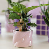Kolibri Accueil | Pot à bonbons - Rose - Ø6cm