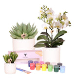 Lot de 12 pots à peindre pour orchidées et succulentes