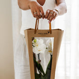Kolibri Company I Sac cadeau pour orchidée avec pot décoratif 9 cm