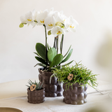 Lot de 3 cache-pots en coton marron