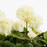 Plante Artificielle Géranium Blanc