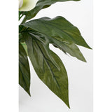 Plante artificielle Spathiphyllum Blanc