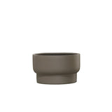 Plant de plante - Nyborg taupe