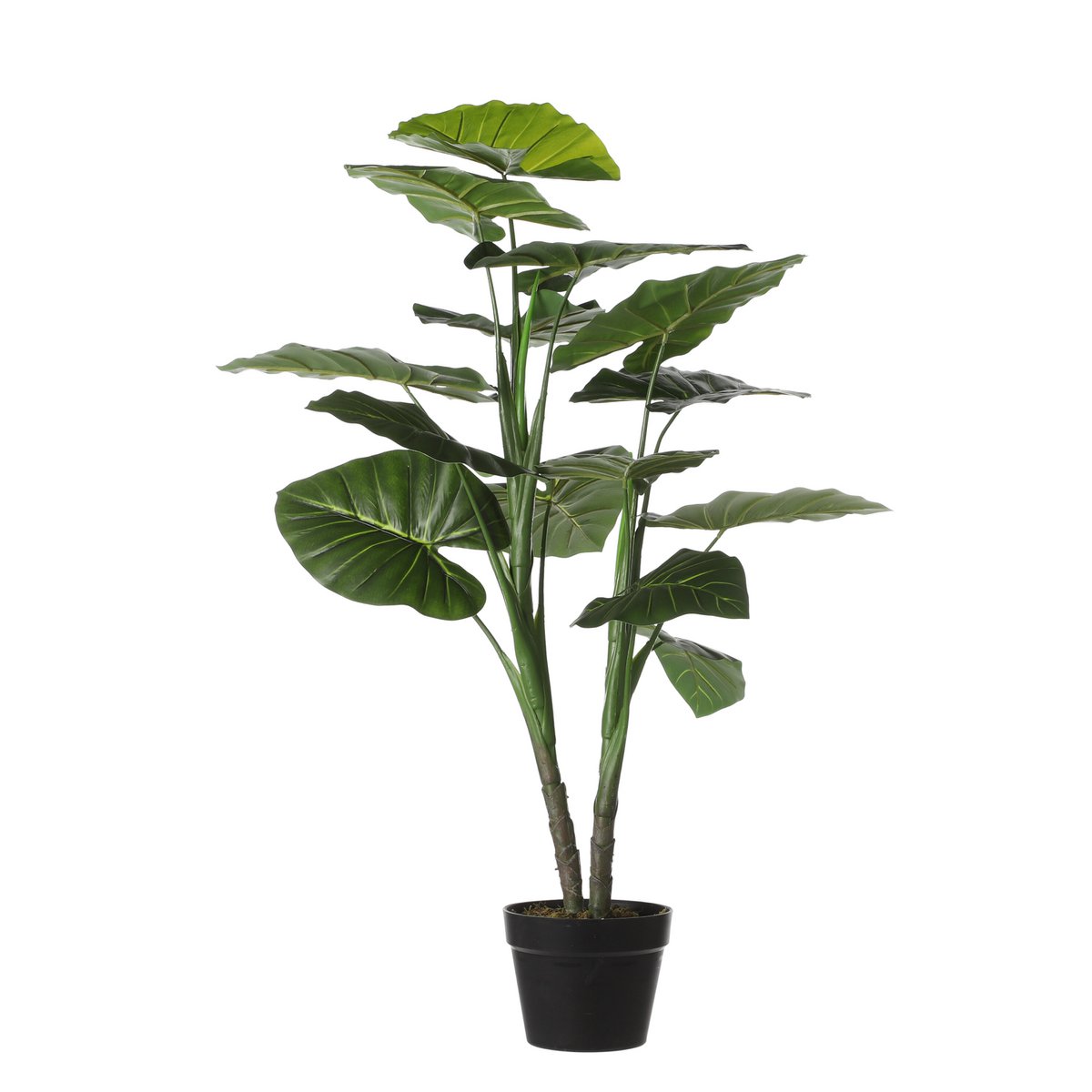 Plante artificielle Taro Vert avec grandes feuilles plates