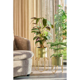 Set de supports pour plantes Danube Vert clair